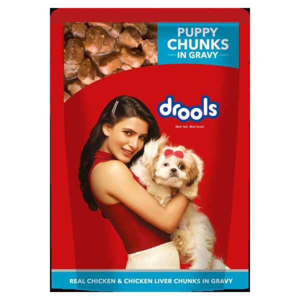 Drools Real Chicken & Chicken Liver Chunks in Gravy Adult Dog Wet Food